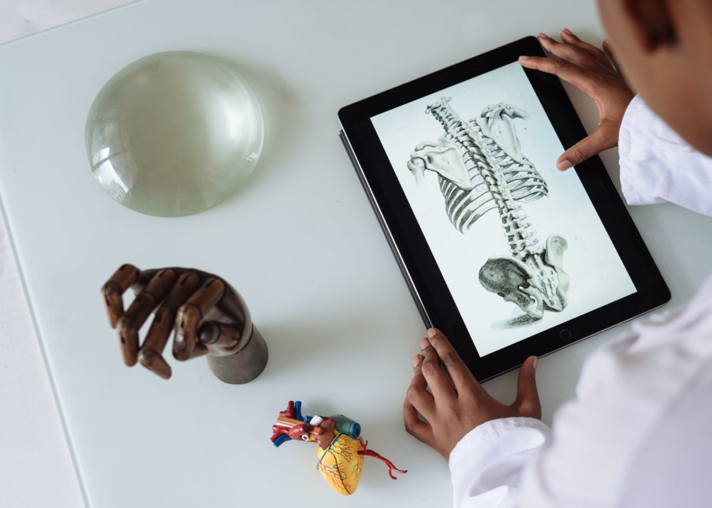 Student using 3D anatomy image on a tablet